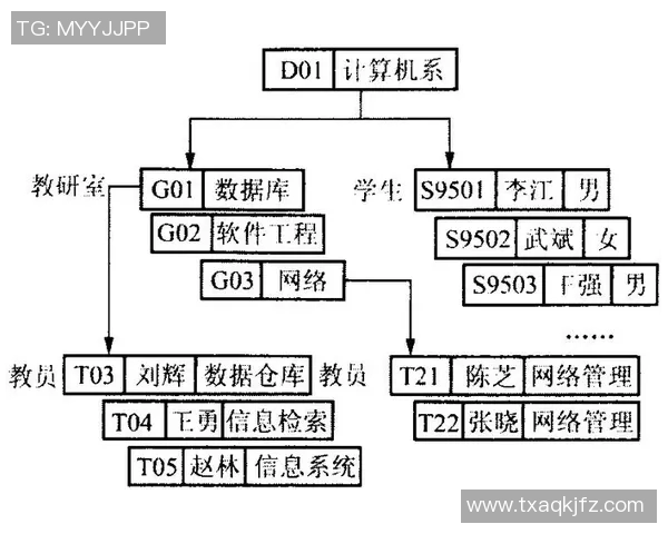 基于进球概率与防守效率的体育数据分析模型研究